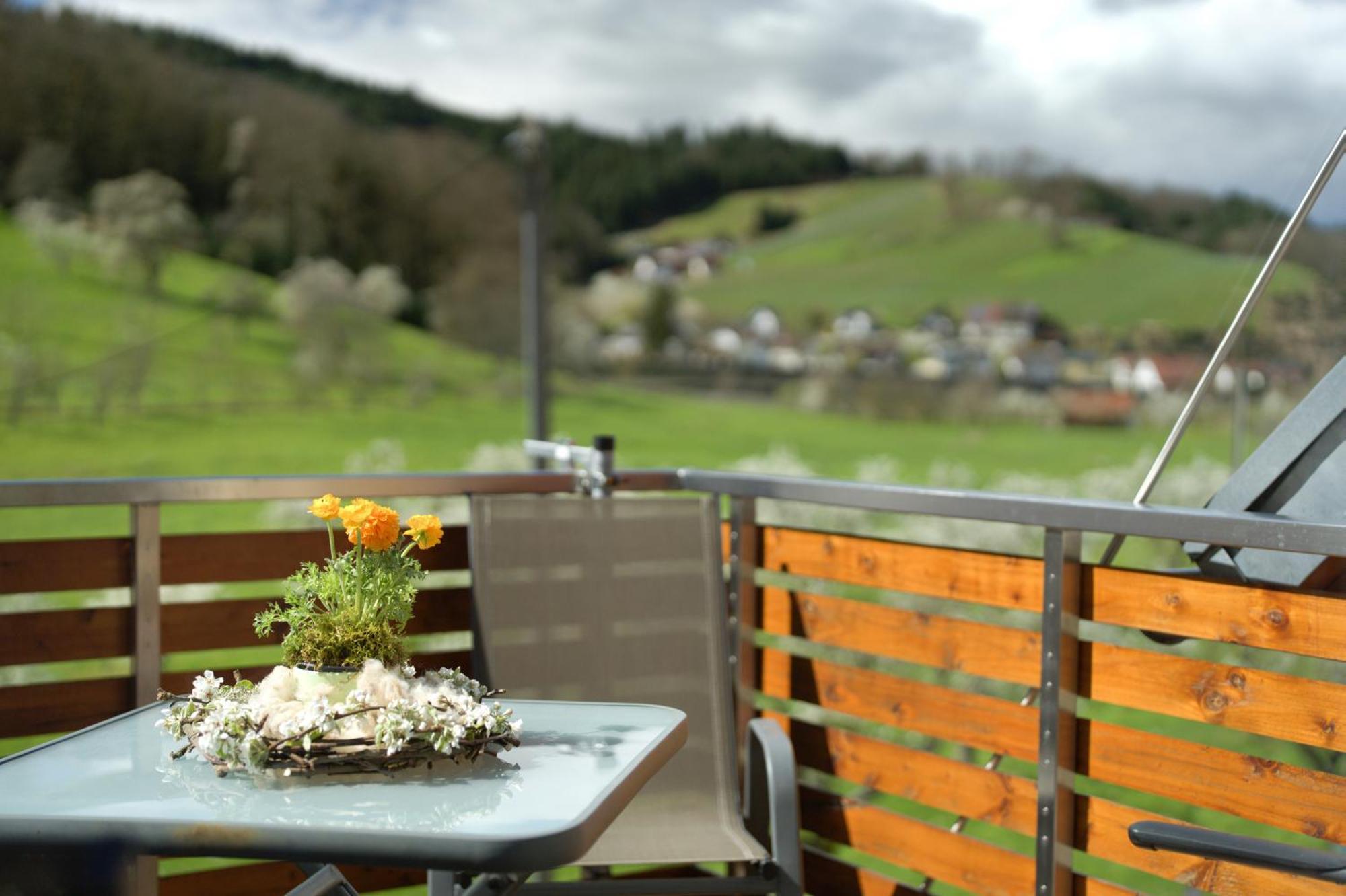 Ferienhof Vordere Alm Oberkirch  Exterior photo