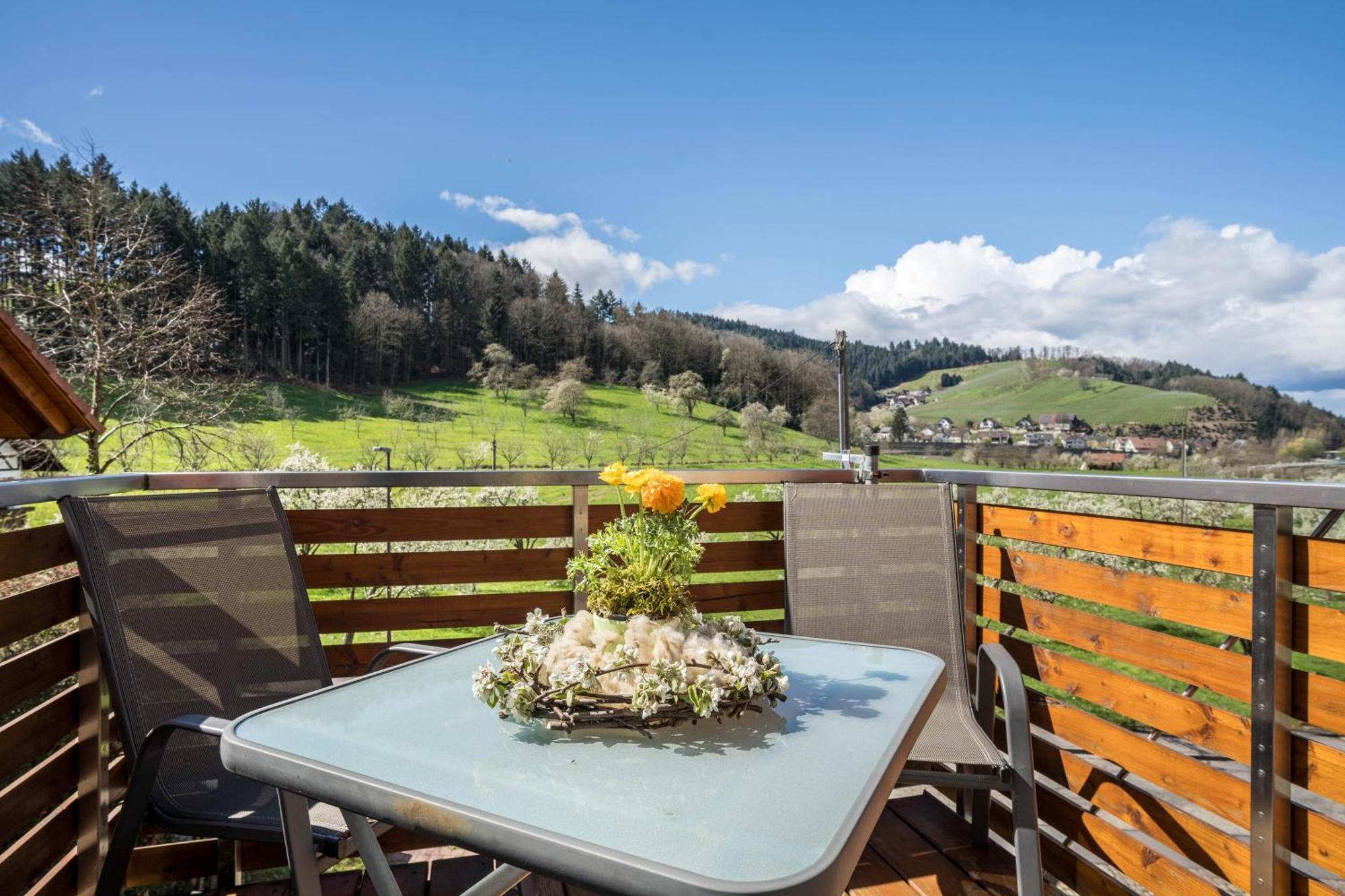Ferienhof Vordere Alm Oberkirch  Exterior photo
